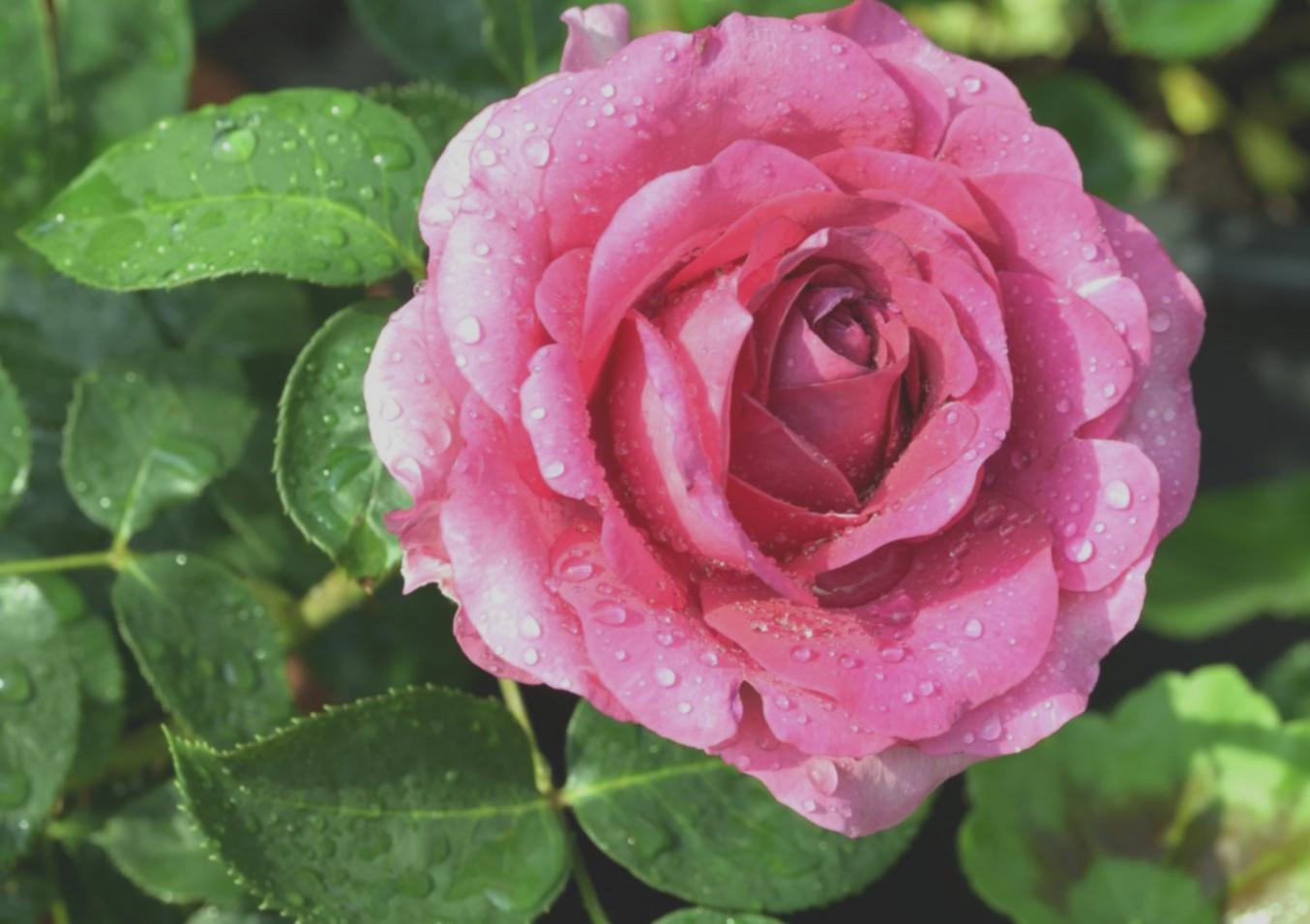 Приклад навчальних матеріалів та робочого процесу